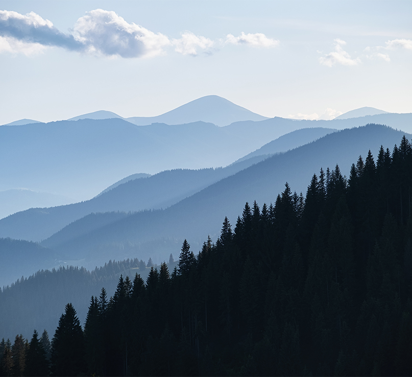 Ningbo Yiman Textile Co., Ltd.